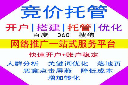 SEM广告创意与优化：成功案例分享